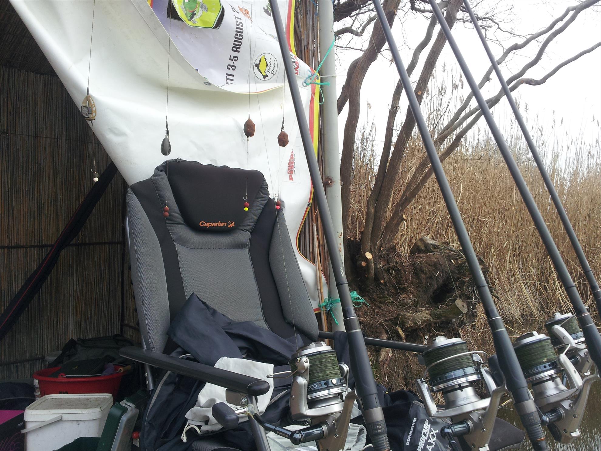 Tancabesti 1 - 2 mar. - 20140301150357.jpg